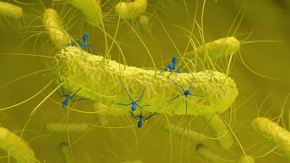 Neuer Fund in der Krebsforschung: Entdeckter Virus im Darm kann das Risiko für kolorektalen Krebs beeinflussen