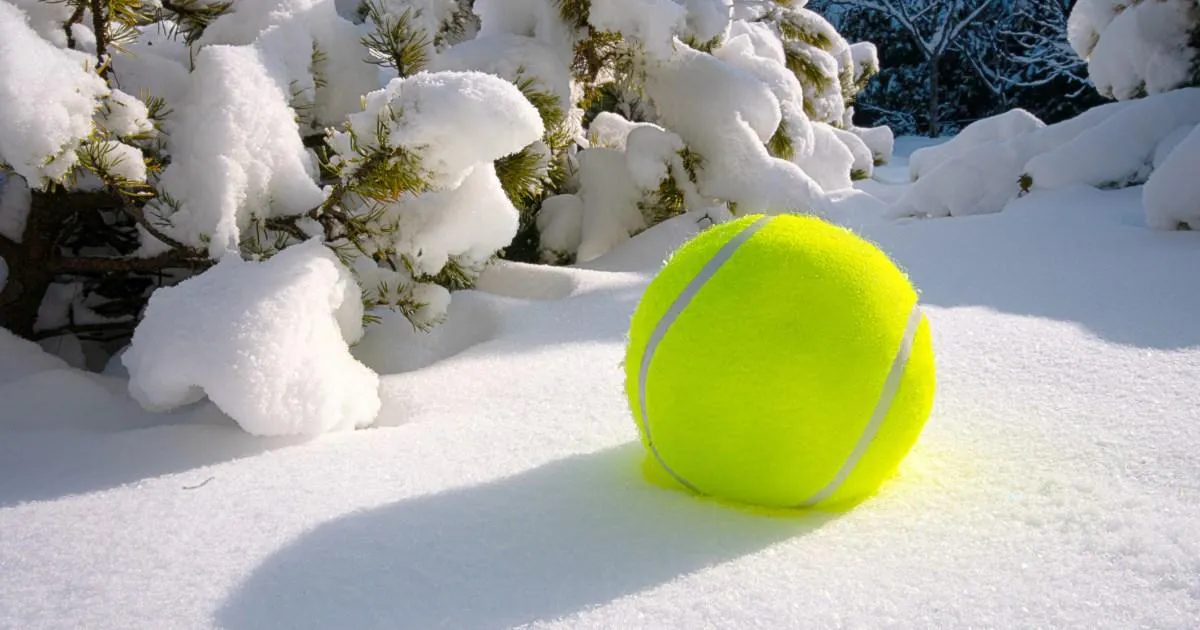 Der Tennisball-Trick: ein einfacher Tipp fürs bequemere Fliegen